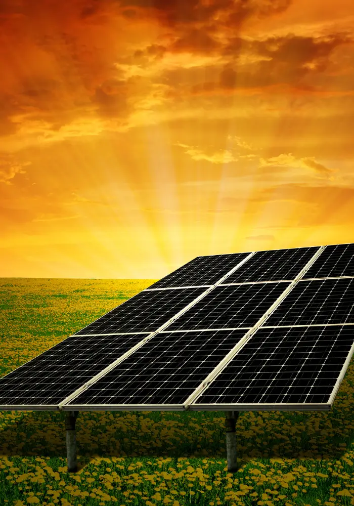 Solar panel array in an open field at sunset representing the overall cost of solar energy