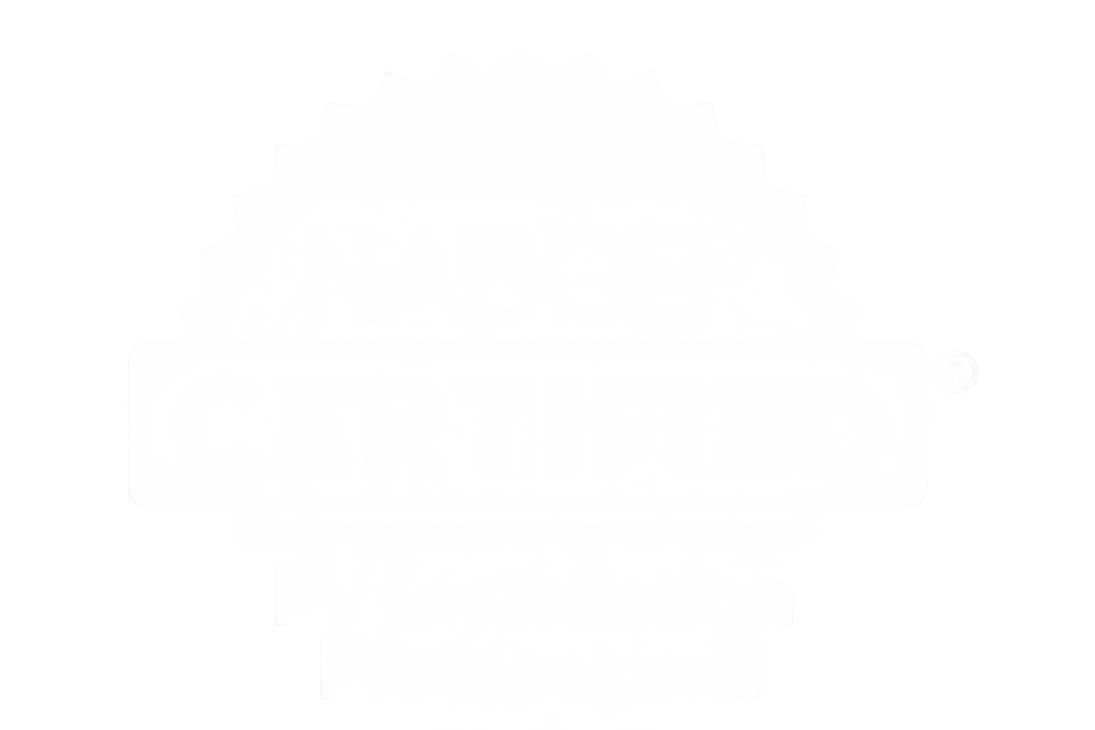 NABCEP Certified PV Installation Professional